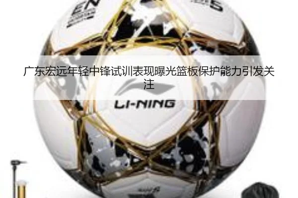广东宏远年轻中锋试训表现曝光篮板保护能力引发关注
